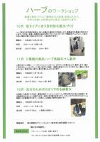 ハーブ10-12月