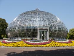 花の展示温室