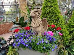 温室グリフォン