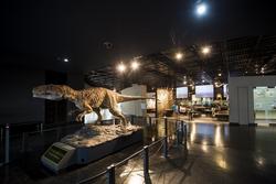40恐竜博物館