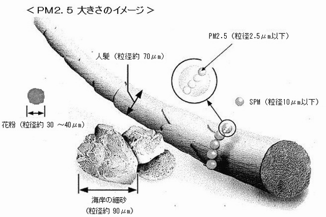 PM2.5大きさのイメージ図