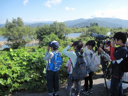 １０月１８日　野鳥観察会