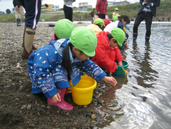 １１月１８日　フナの稚魚放流体験