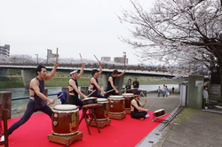 桜花との競演