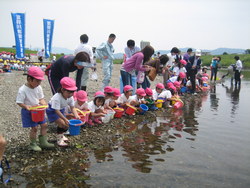 鮎稚魚放流