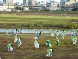 清掃ボランティア