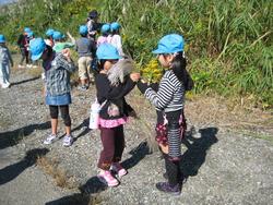 野外学習（湊小学校）