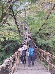 かずら橋
