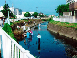 福井市（狐川）