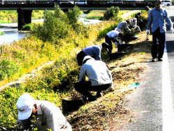 敦賀市（笙の川）
