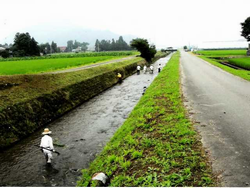 大野市（内川）