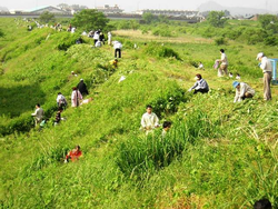 鯖江市(日野川)
