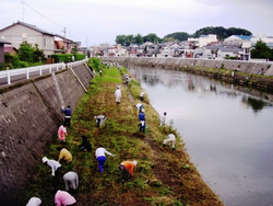 あわら市(竹田川)