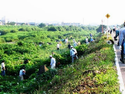 越前市（日野川）