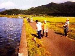 美浜町（久々子湖）