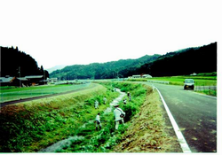 高浜町（子生川）