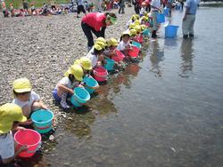 アユの稚魚放流体験