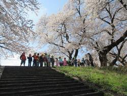 フラワーロード in 鴨渡公園