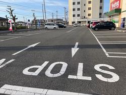 tosuisei