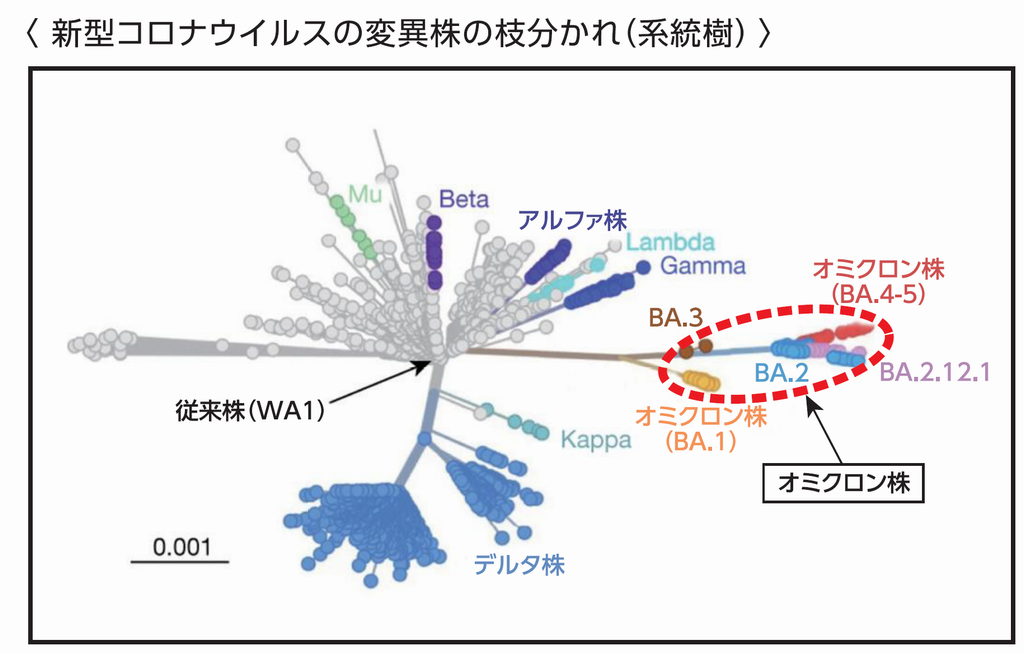 新型コロナワクチン接種について 福井県ホームページ