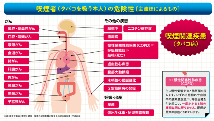 喫煙者の危険性