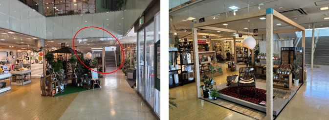 展示場所(予定)