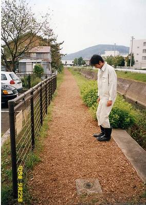 木片歩道