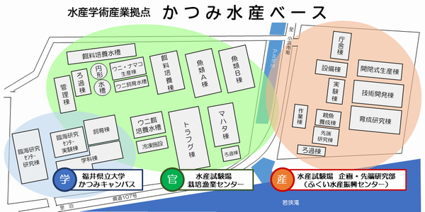 かつみ水産ベース図