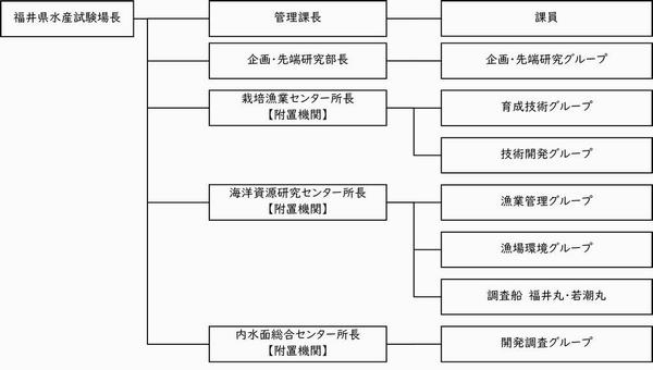 水産試験場組織図