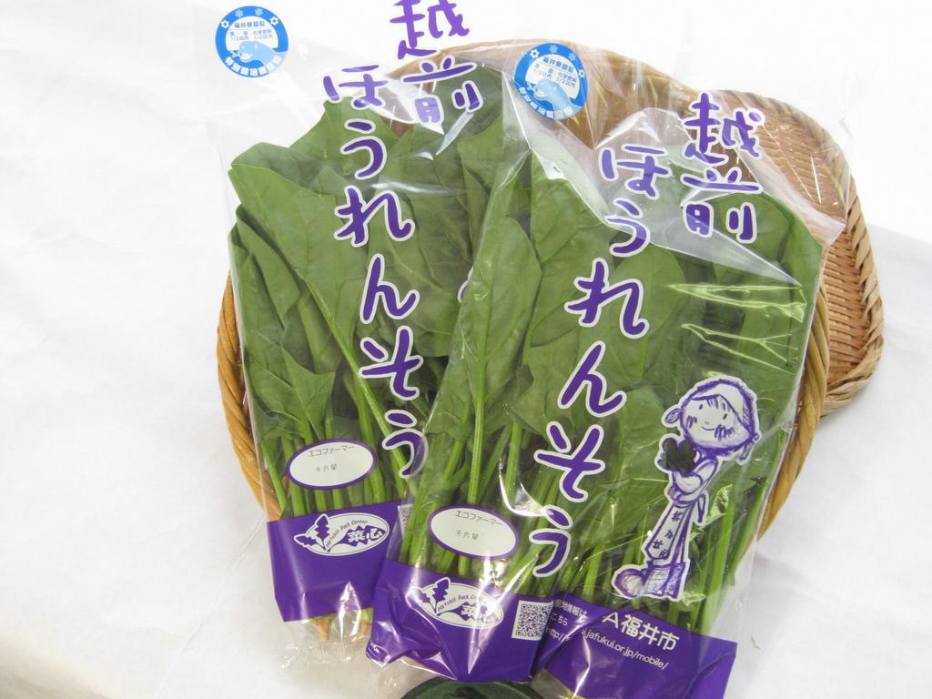 プレゼント
