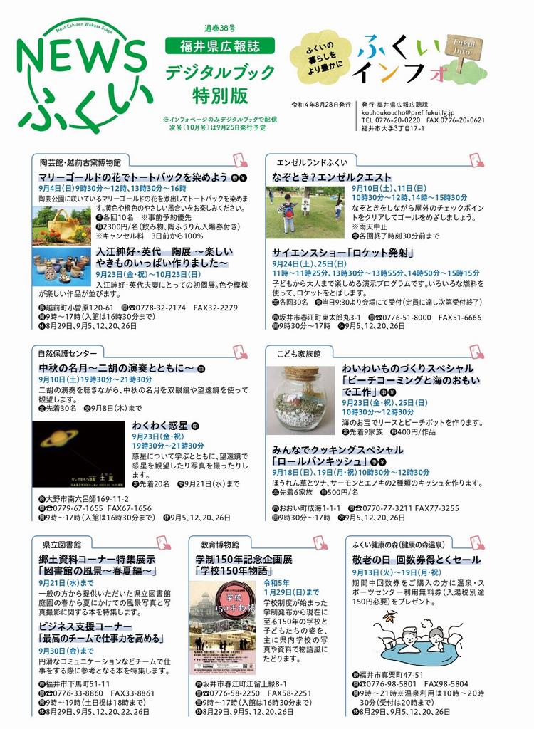 NEWSfukui38