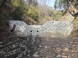 高野組