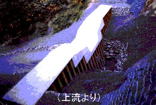 写真上流