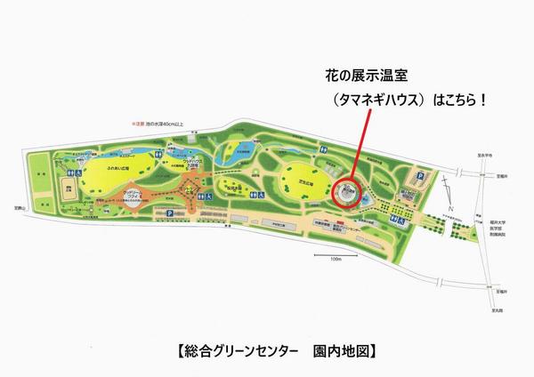 マップ