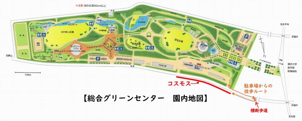 マップ