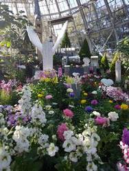 スプリングガーデン1