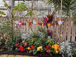 メリークリスマス