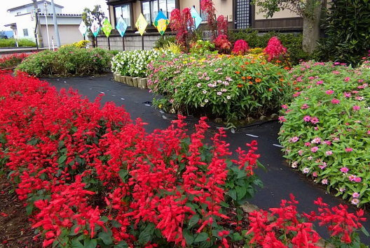 R7SARUBIA