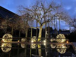 hanagatmisakura_yoru2