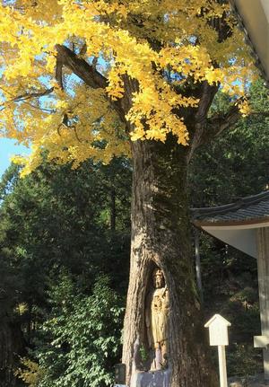 諦応寺銀杏観音（観音像）