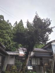 ラカンマキ
