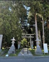 劔神社の森２