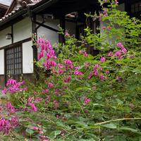 瑞源寺１