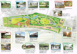 園内地図
