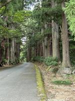菩提寺（２）