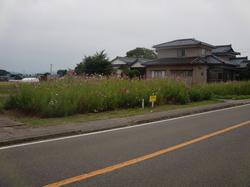 あわら市下番