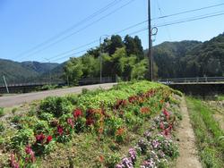 小宇坂島町