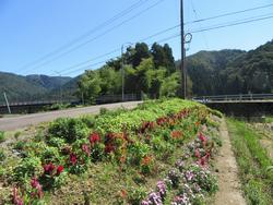 小宇坂島町