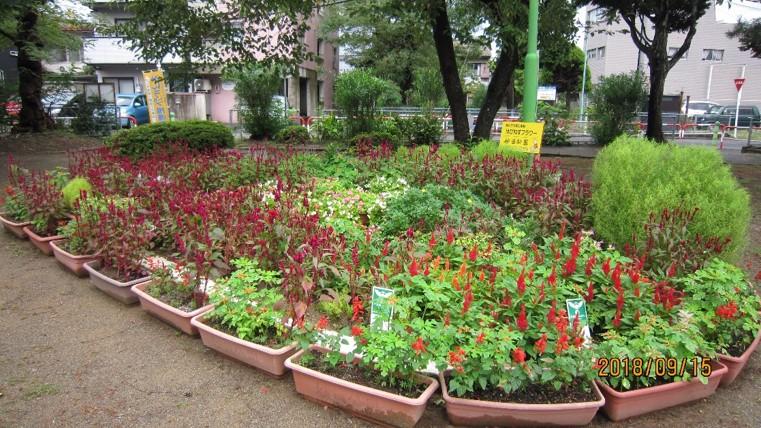 妙国公園