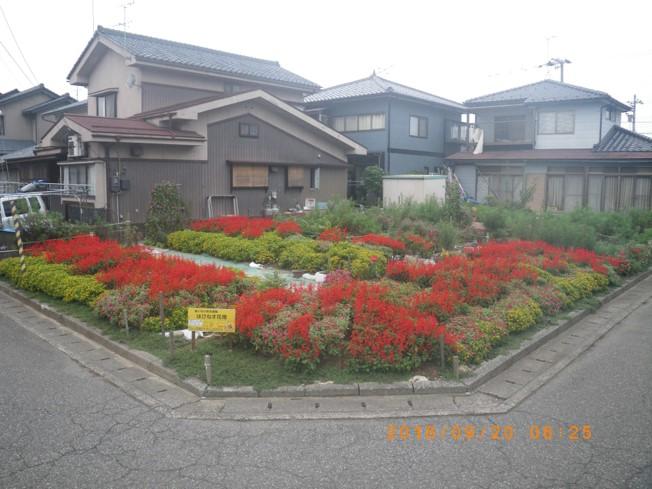 若栄園芸クラブ